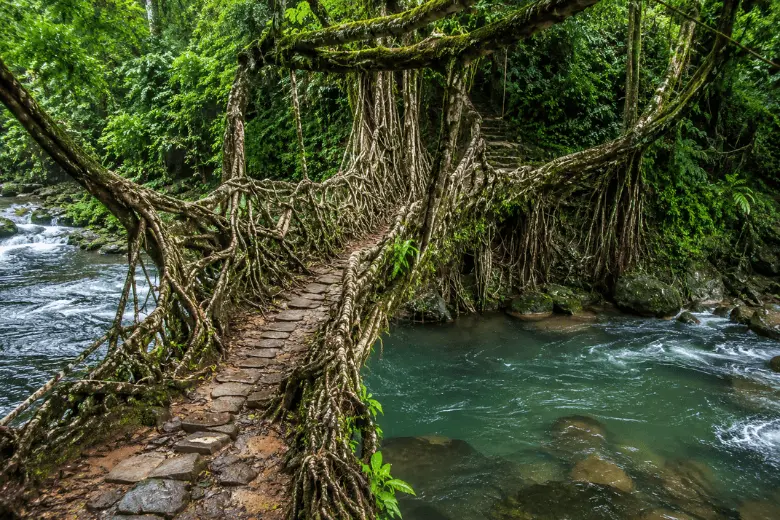 Meghalaya